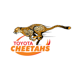 The Cheetahs
